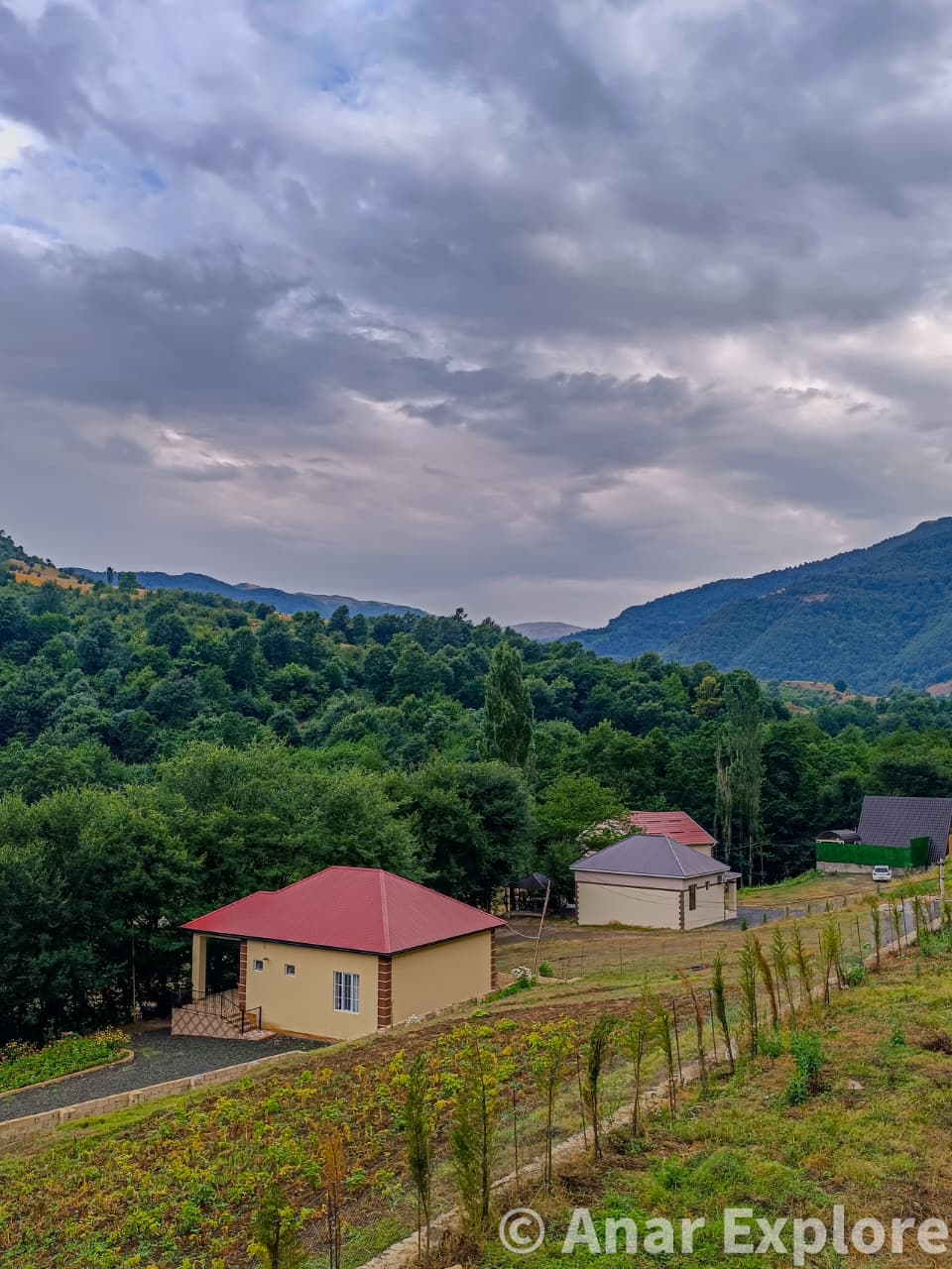 Madina House (Lerik Turizm)